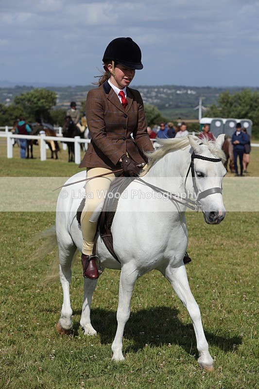 1X9A5747 - Class 40: NPS Welsh A & B