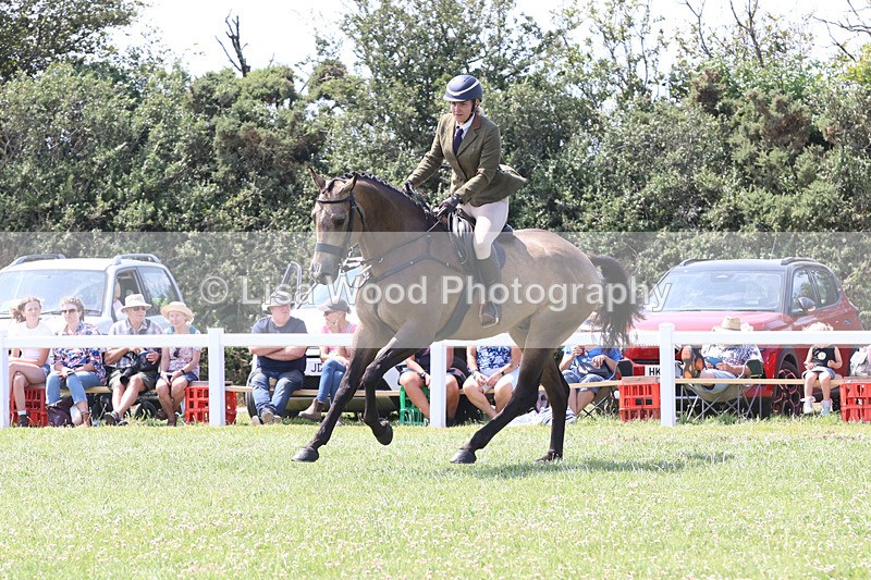 JPP_3324 - Class 22: Working Hunter 70cm