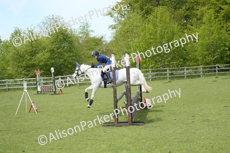 20260426-2025 - Class 15 - Absolute Novice 70cm
