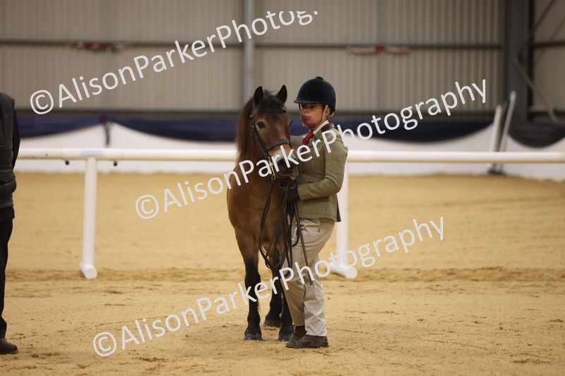 20260913-1028 - Class 109 - Bred On Exmoor In Hand
