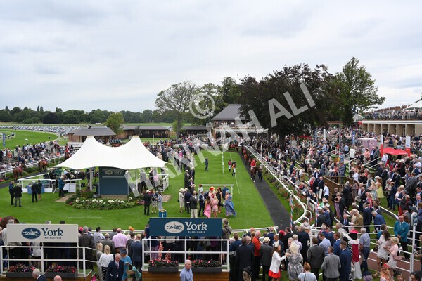 yr19082021r2-6 - Race 2 2.25pm Goffs UK Premier Yearling Stakes