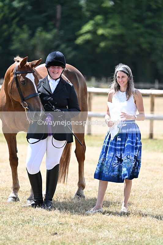 WJ7_2065 - Class 4a Prettiest Mare 14.2hh and over hand