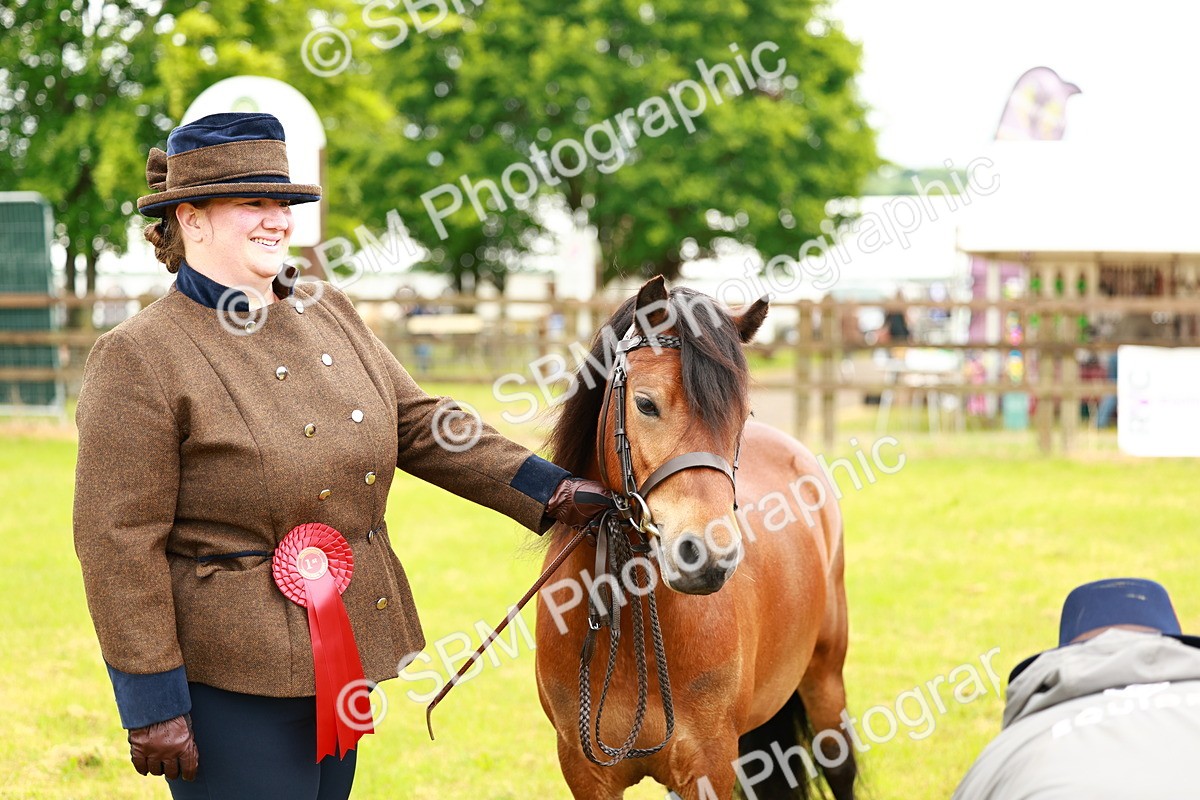 SBM_00286 - Class 58-67 - M&M Non Welsh Pony In hand