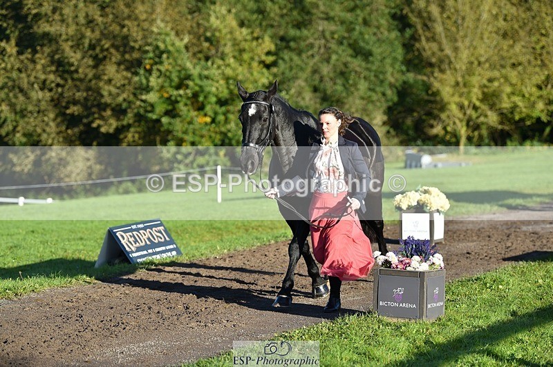 231022-093900-21943 - 414-LAMBORO.SPARKY-Lucy.Jowett-TrotUp+SJ