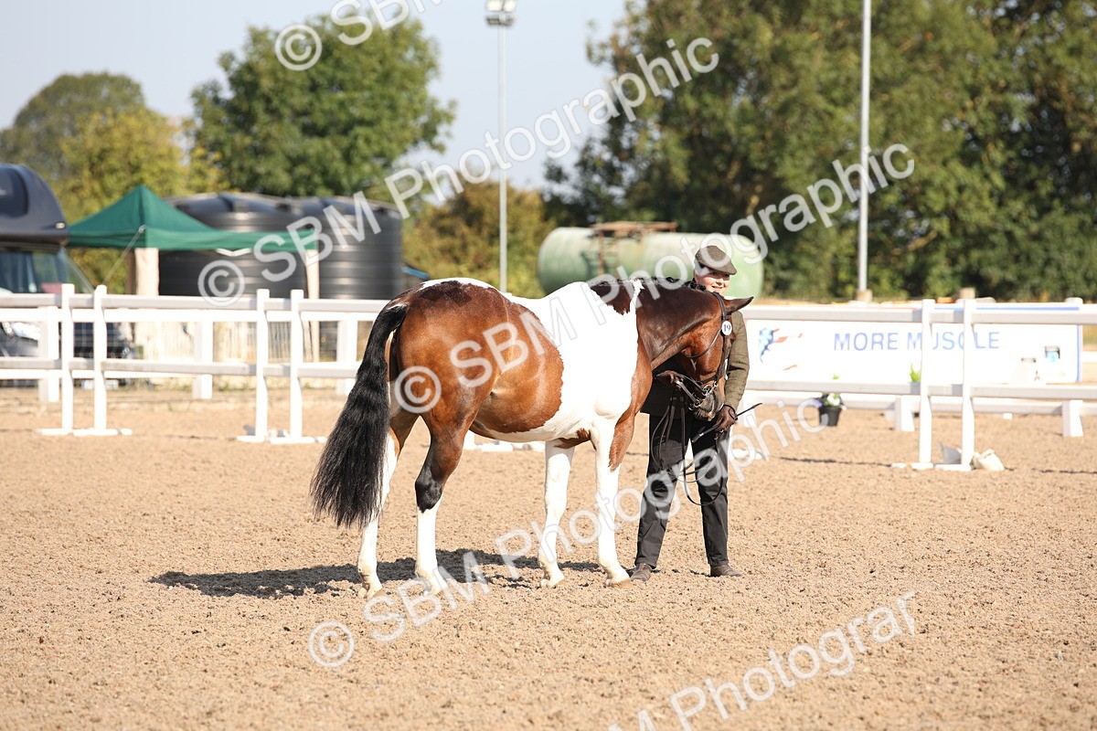 SBM_01471 - Class 15 IH Coloured