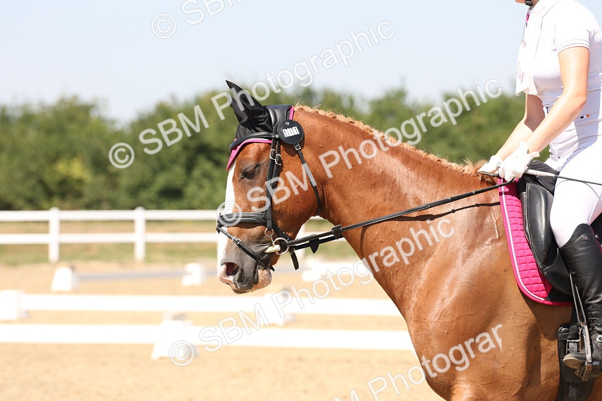 SBM_005019 - Prelim 4 - 13.34-15.39