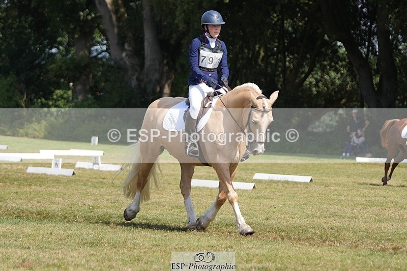 250823A-130706-31001 - Arena B