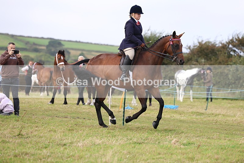 3E7A3948 - Class 4: Best Combination Open