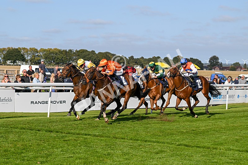 180924-Race 6-Elegant Erin-5043 - Race 6