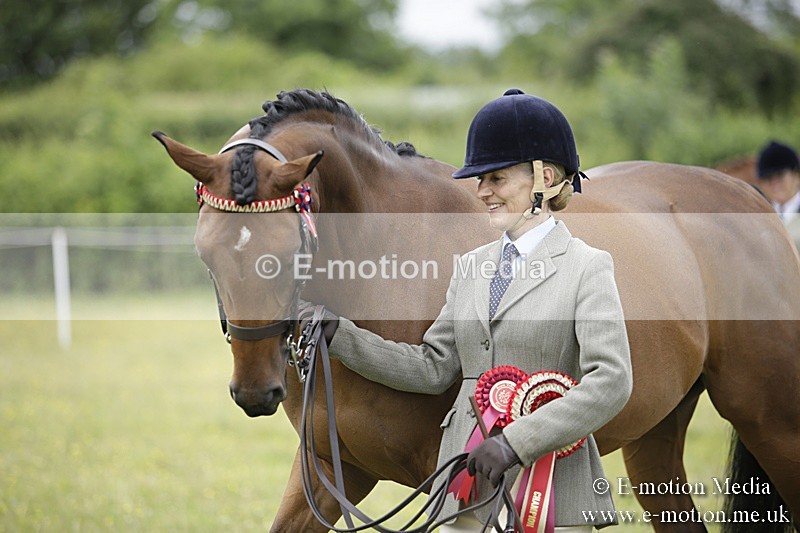 BVR160717-1120 - In Hand Championship 16/07/17