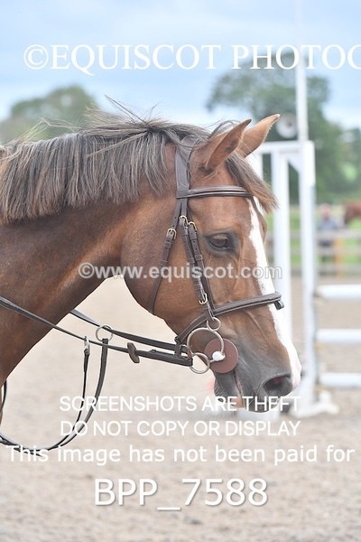 BPP_7588 - CLASS 11 SAT Club/ Unaffiliated 80cms Open