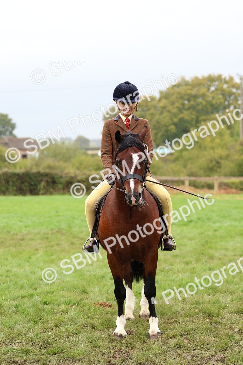 SBM_69628 - S62 - Mountain & Moorland Ridden Large Breeds