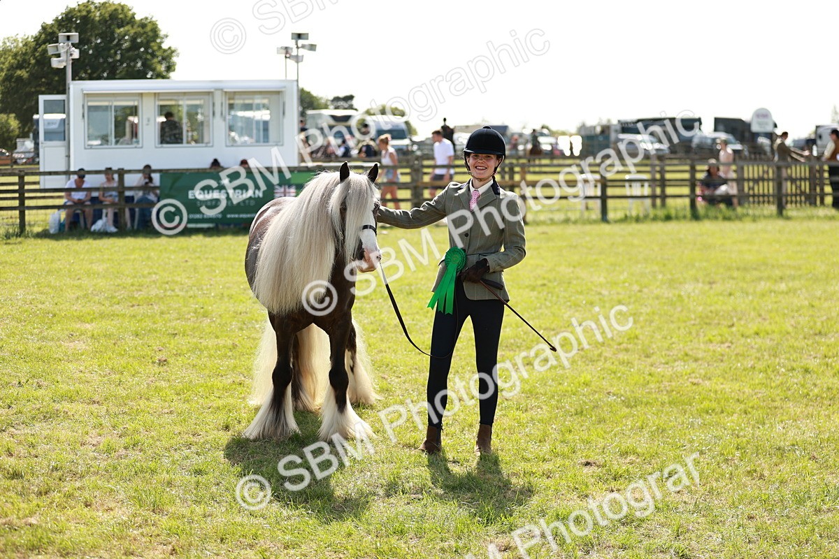 SBM_08929 - Class 63-65 - Traditional Gypsy Cobs In Hand & Ridden