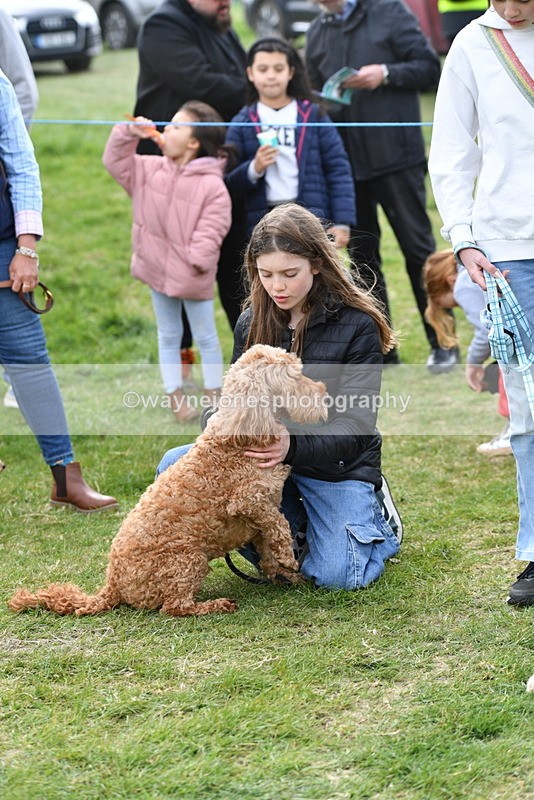 WJ5_0153 - Class 5 Best Veteran / 7 years & over