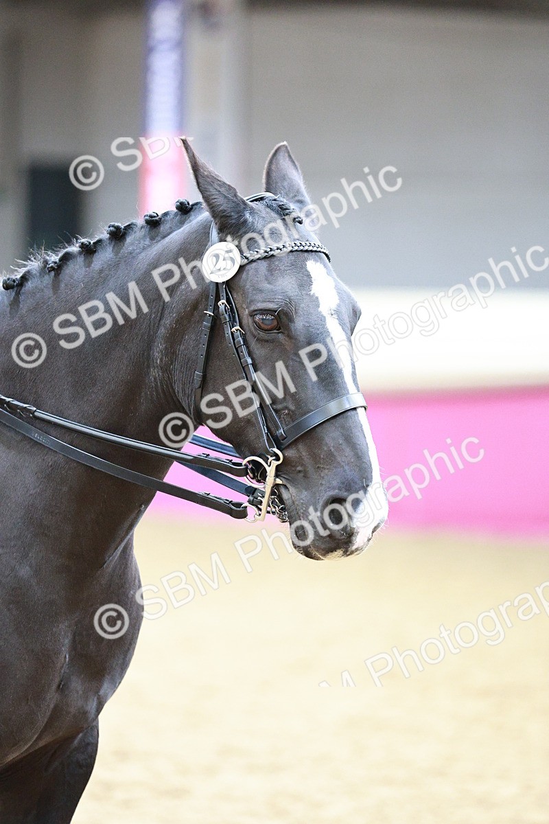 SBM_02251 - Class 4A - Area Ridden Diamond