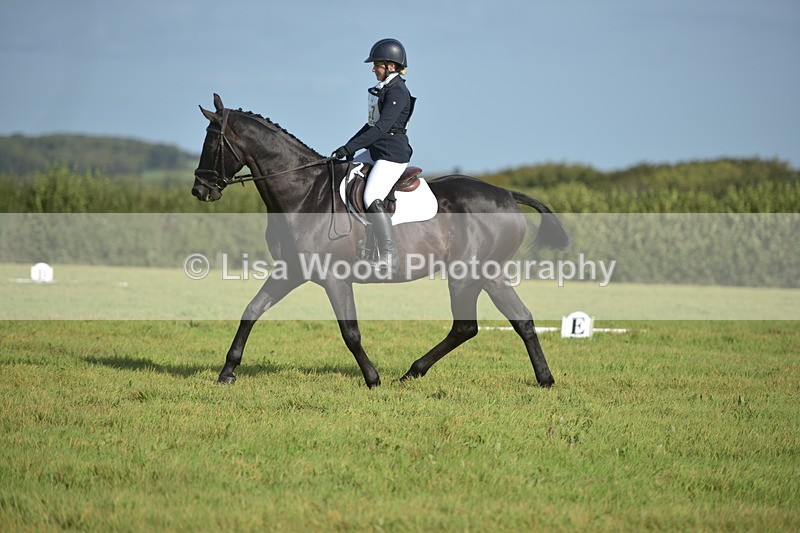 RAY_7432 - Class 2B: Trekenning Open: Dressage