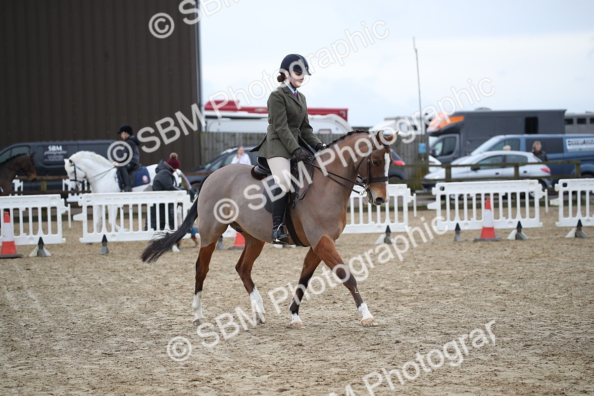 SBM_004675 - Class 5-9 - NPS In Hand-Show Hunter-Intermediate Ridden Inc Ridden Championship