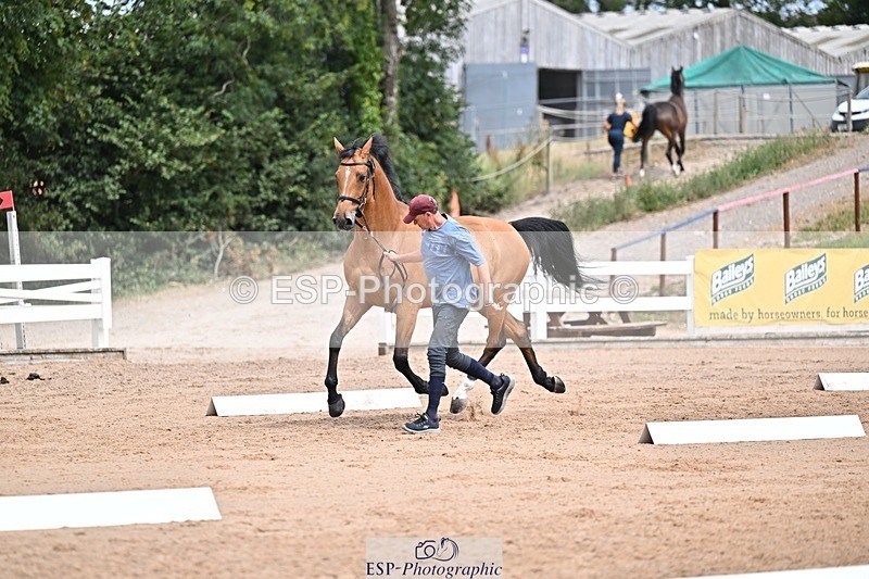 250716-132402-00485 - Trot Up 12.30 to 1.30