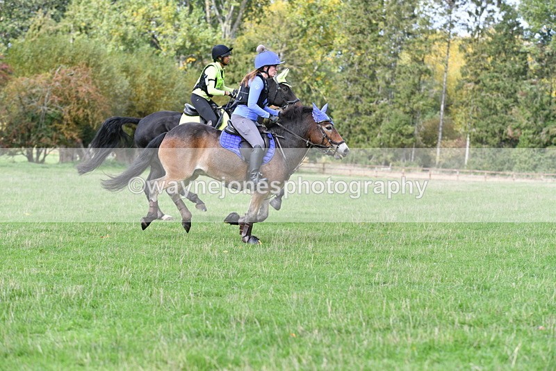 WJ5_8557 - Time 12:02 to 12:32