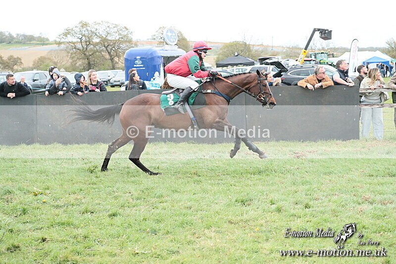PtP 130425 294 - Edgecote Races 13/04/25