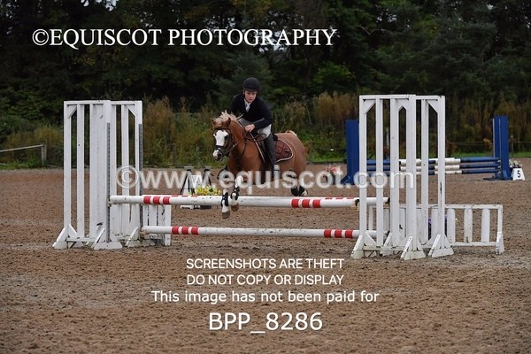 BPP_8286 - CLASS 1 Club/ Unaffiliated 60cms Open