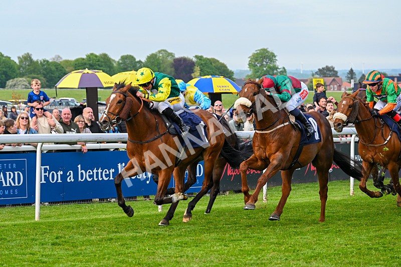 040526-Race 8-Coolree-4363 - Race 8