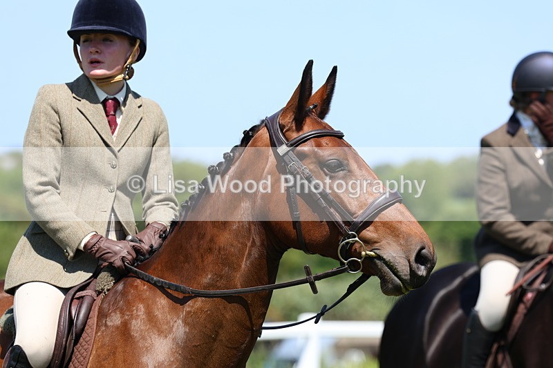 3E7A7354 - Class 30: Novice Working Hunter