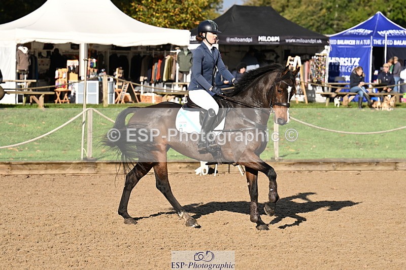 251024A-100938-06335 - B-131-Gemma.Gurvidi