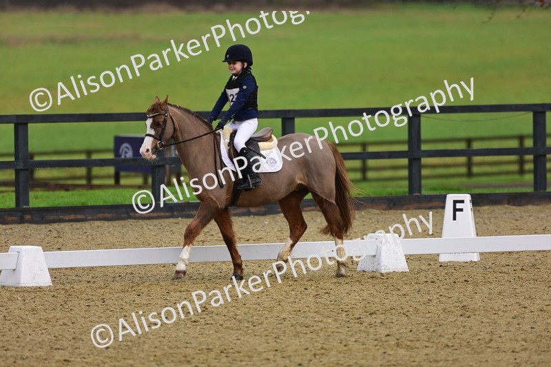 20260125-0665 - Class 9b - Walk Trot Unassisted