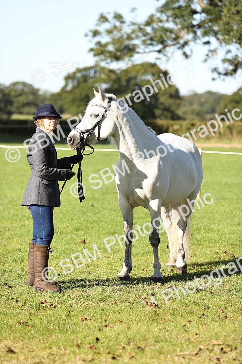SBM_15816 - S1 - TSR in Hand Horse & Pony Showing