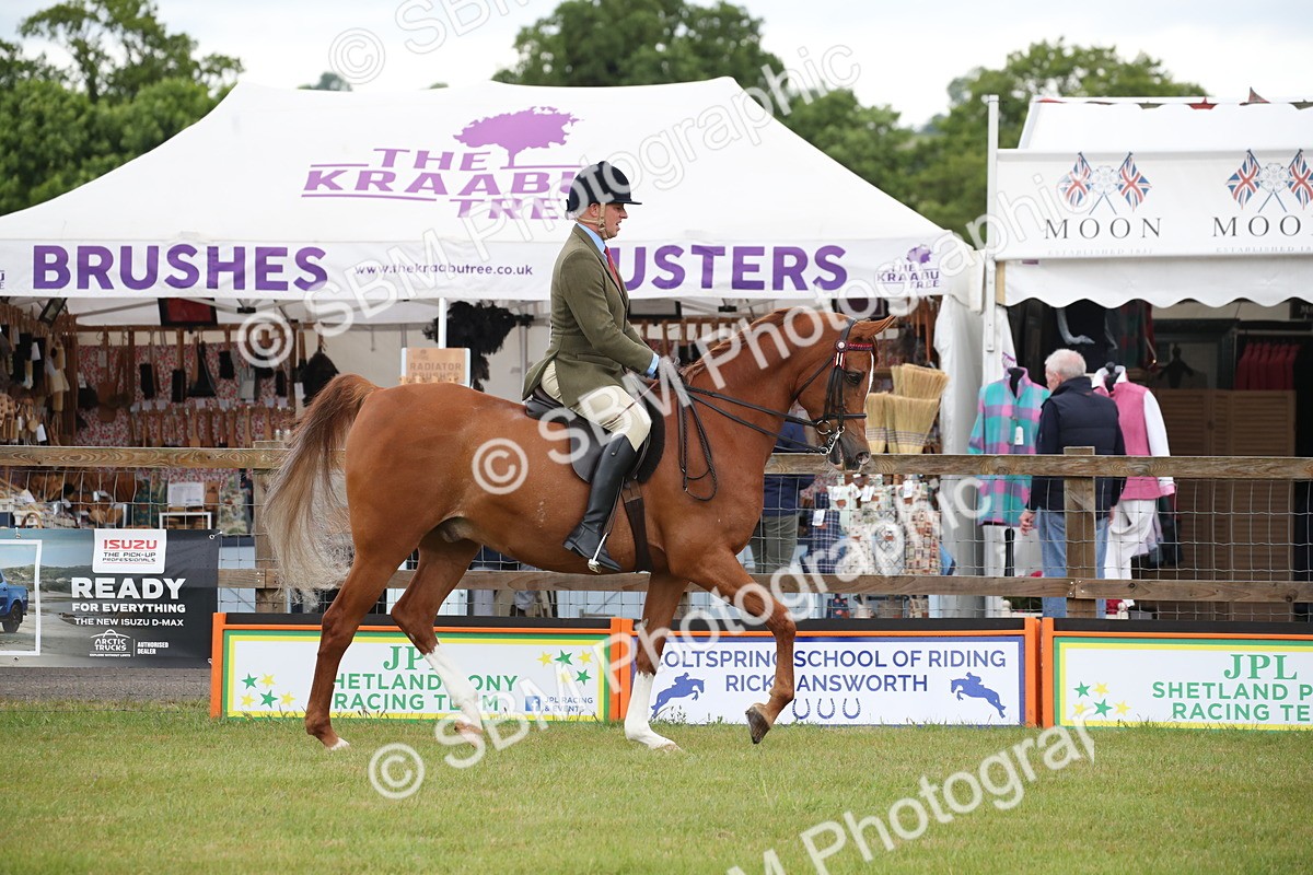SBM_03598 - Class 21 - 22 - Ridden Arab and Part Bred/Anglo Arab