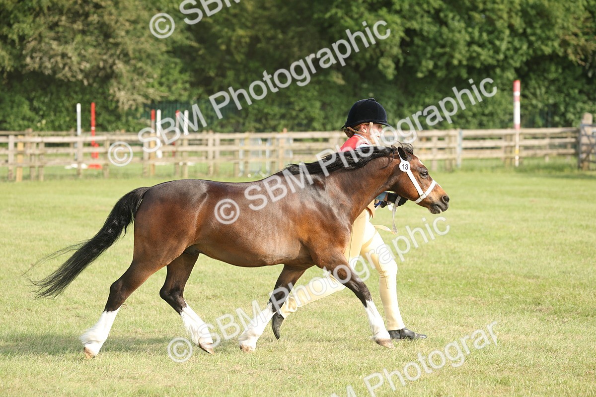 SBM_10593 - Class 33-38 - SSADL RIHS Qualifiers
