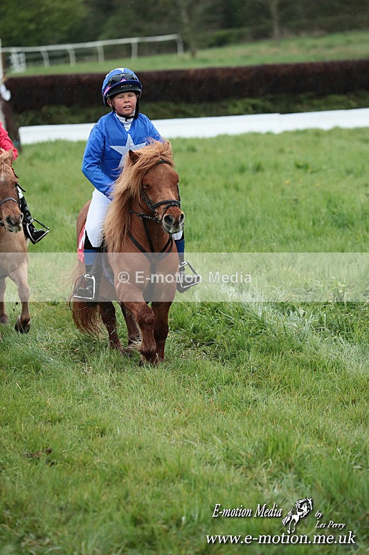 SHETPR 210425 246 - Shetland Ponies Paxford Races 21/04/25