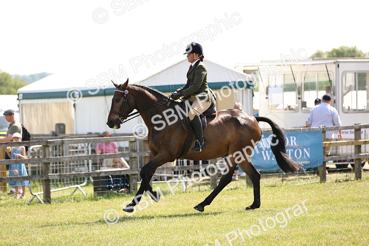 SBM_13011 - Class 75-76 LIHS BSHA Rising Star Hack Riding Horse
