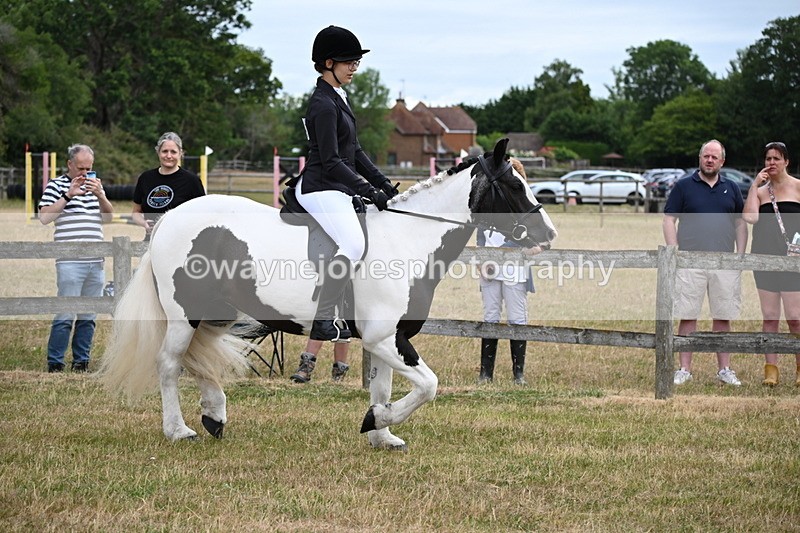 WJ6_3911 - Class 9 Tack & Turnout