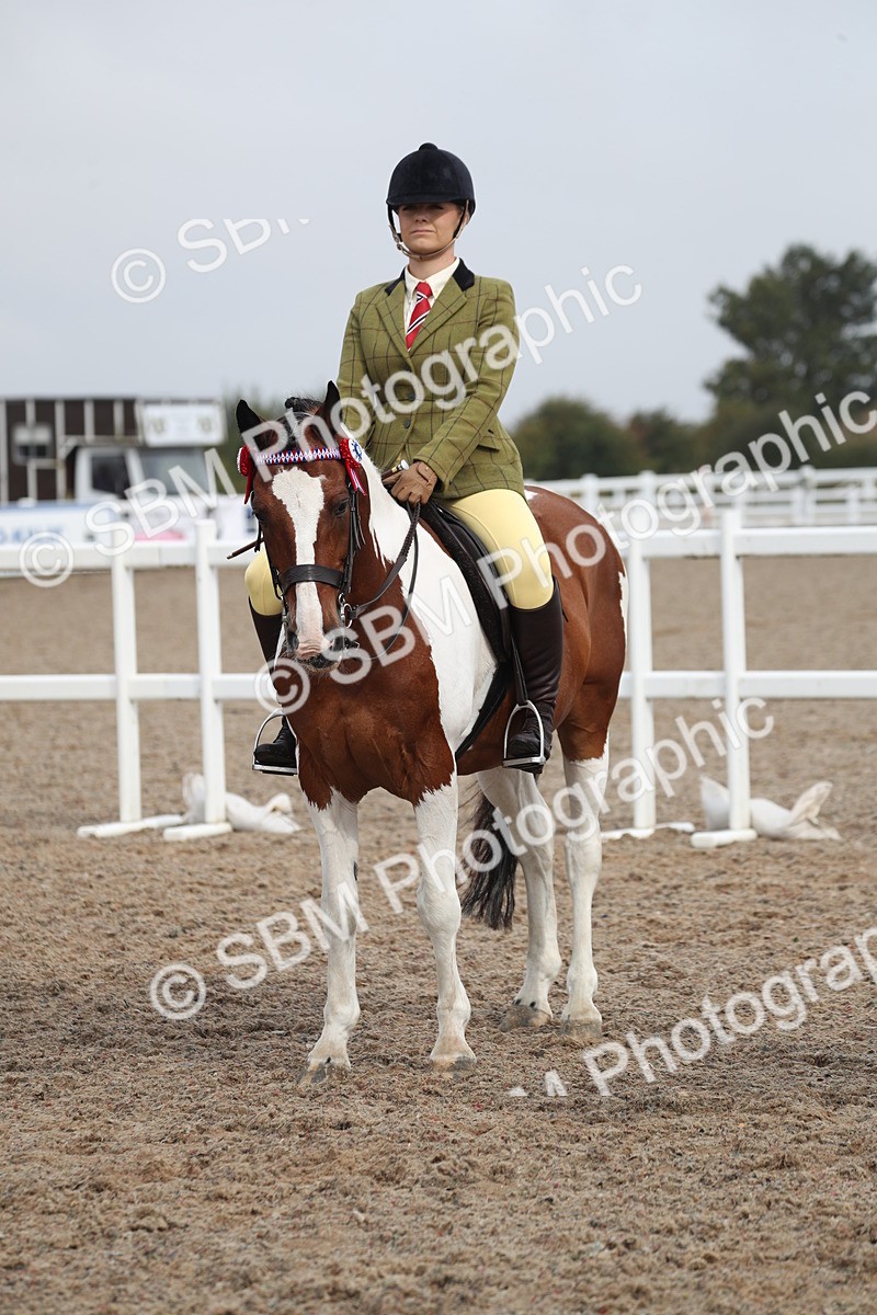 SBM_21648 - Class 602 - 2025 Area - Ridden Veteran
