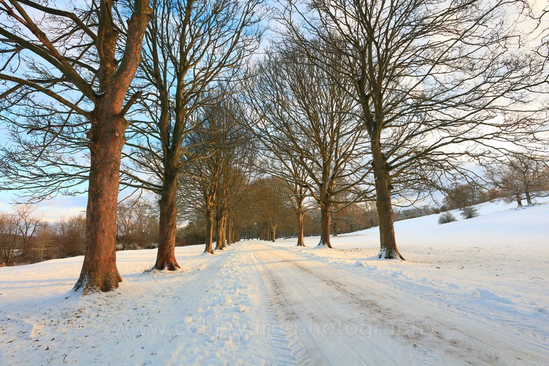 Croxdale in Snow - County Durham