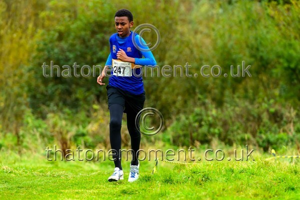 WestRLY25-923667 - Young Male Set One