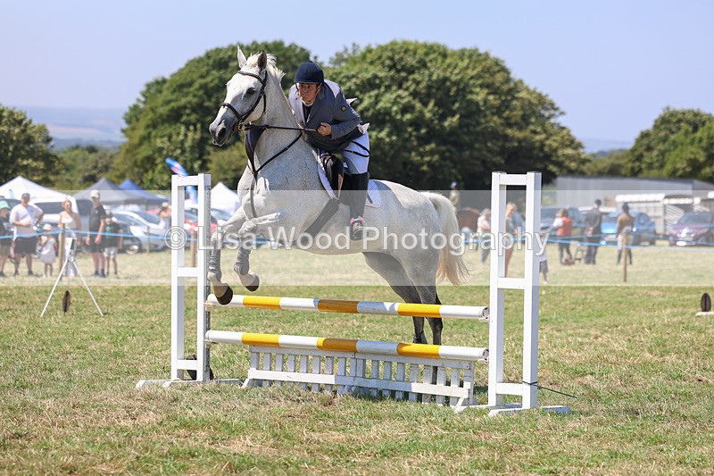 3E7A4356 - Class 10: Senior British Novice/90cm open