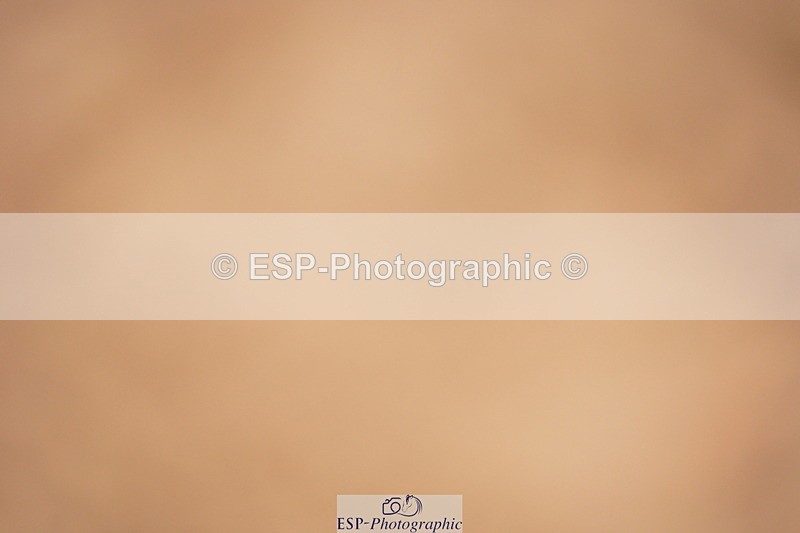 240506A-085856-07876 - Cls 11 Stepping Stones 128cm & 138cm