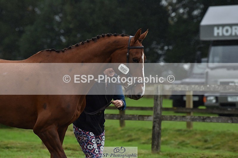 231018-115838-00015 - 002-CHILLI.BILL-Alicia.Wilkinson-TrotUp