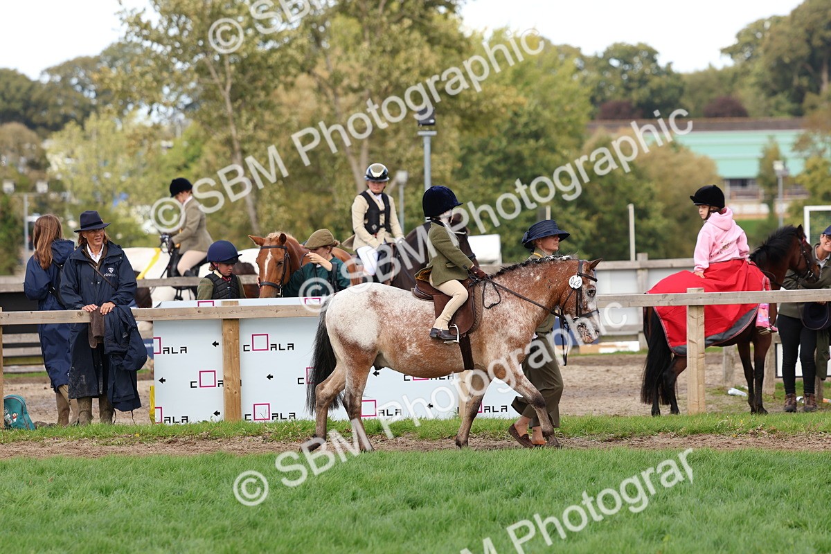 SBM_47600 - S28 - Veteran Ridden