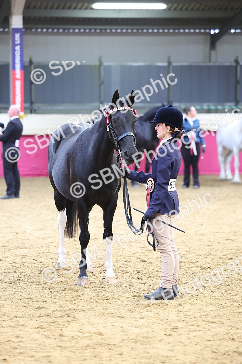 SBM_23004 - Class 903 - Supreme Final - IH Pre Vet