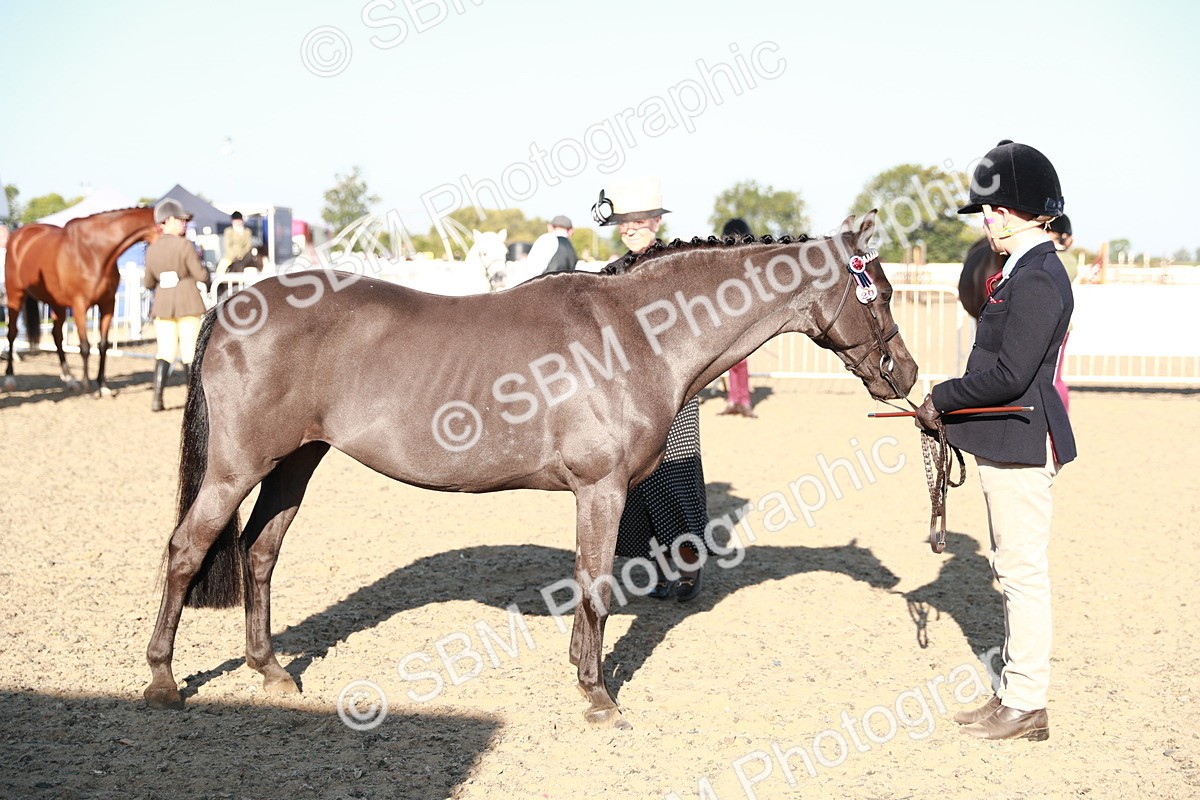 SBM_00085 - Class 40 Best Turned Out IH