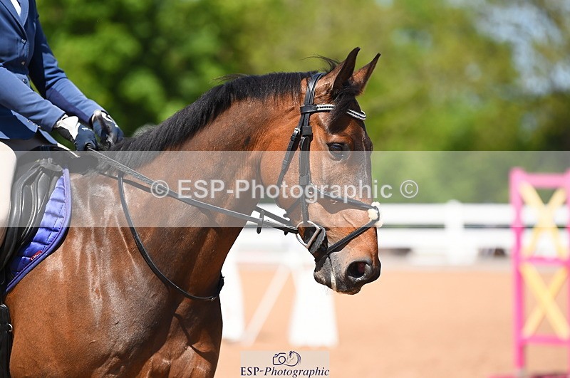 230526A-135748-01845 - Cls 11 95cm Amateur Quali