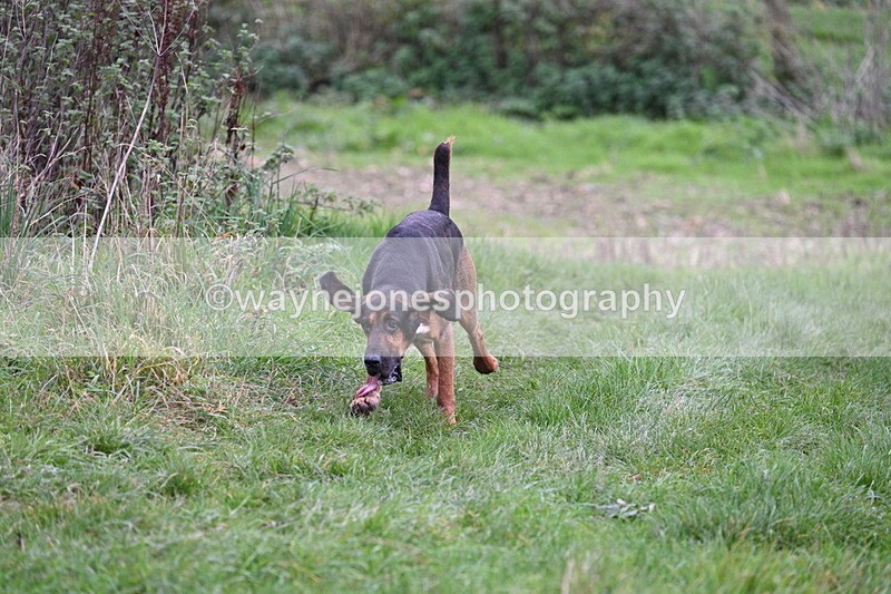 WJ7_8913 - Camera 1 only on this line