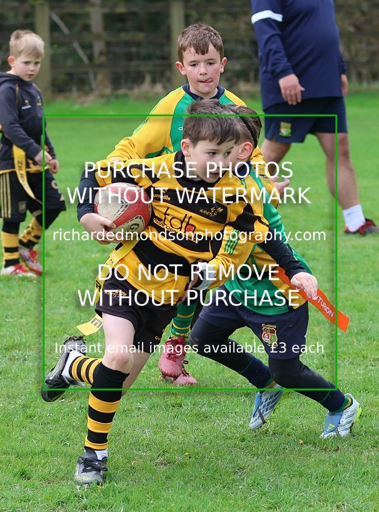 533A5393 - Kendal Rugby Under 7's (12/4/26)