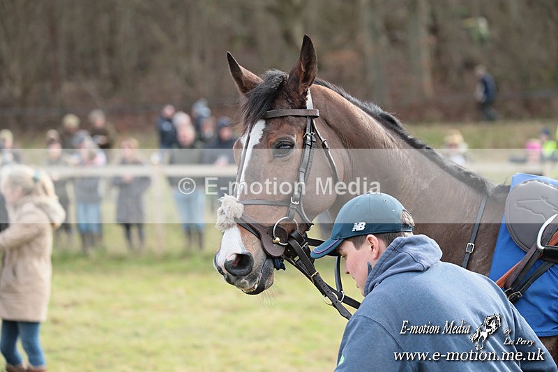PtP 220225 154 - Kimblewick Point-to-Point  Kingston Blount 22/02/25