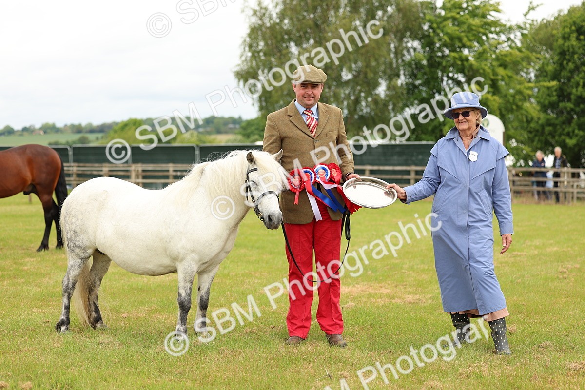 SBM_03592 - Class 58-67 - M&M Non Welsh Pony In hand