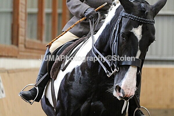 SIAL3085 - Sunday 14th Ridden